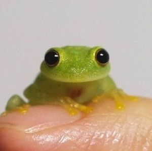 Meet your Posher, Candice